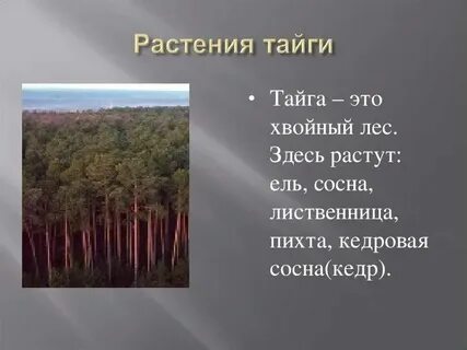 Заповедники лесной зоны 4 класс окружающий мир