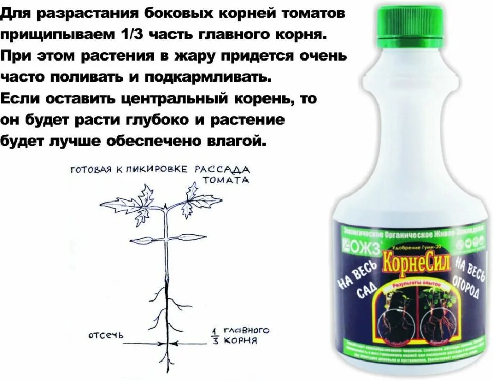 Ожз микроэлементы. Ожз микроэлементы