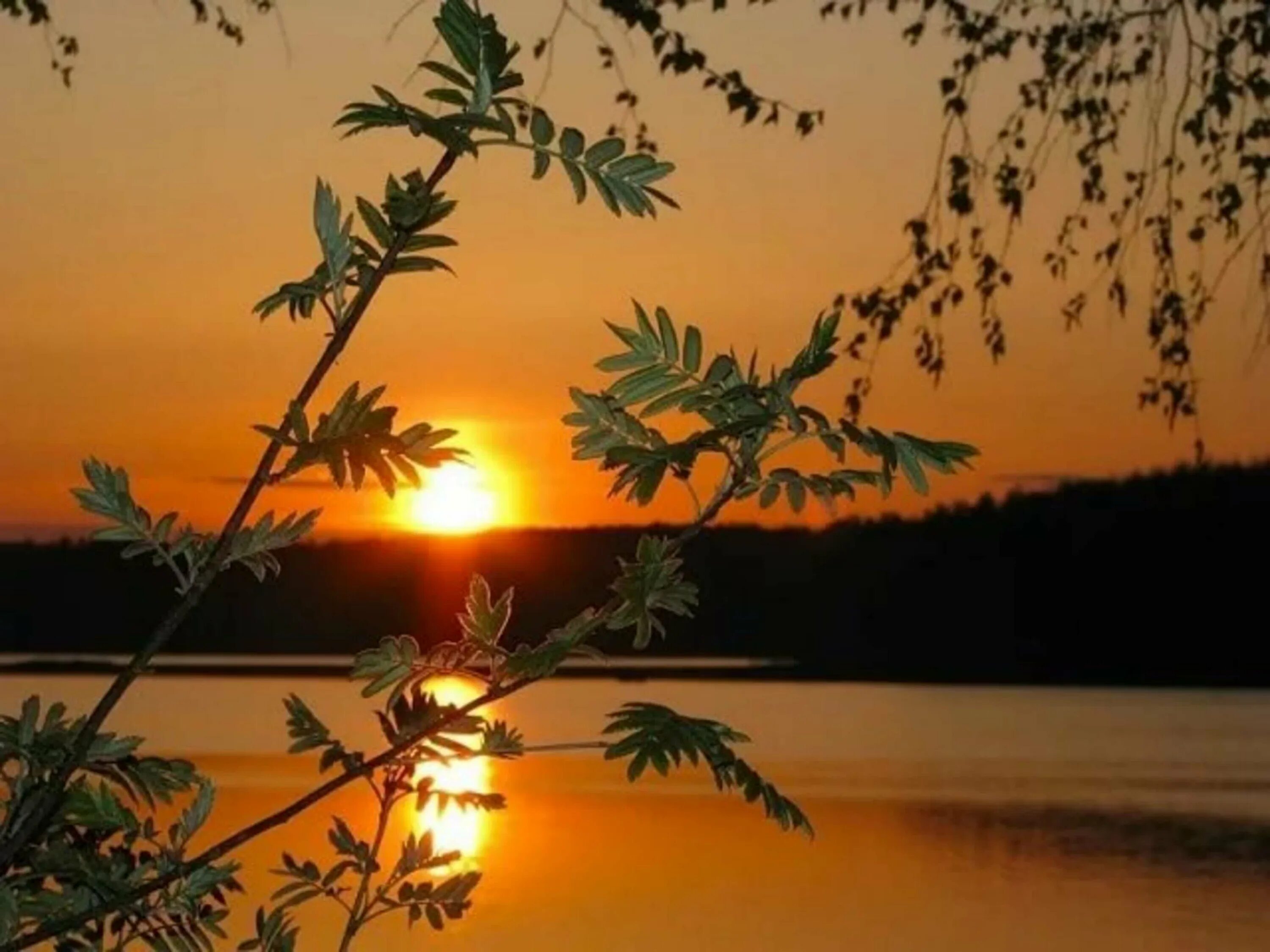 Тихо ласков теплый вечер. Природа вечер. летний вечер. природа закат. лето вечер.