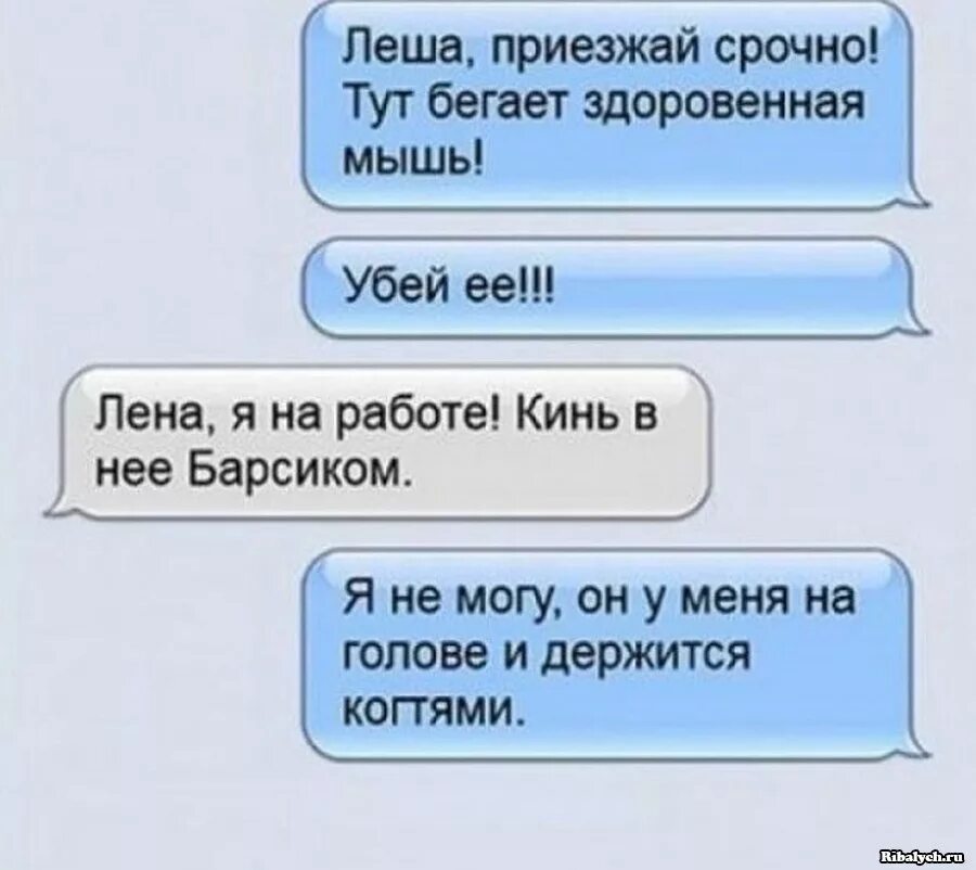 Работа ленка