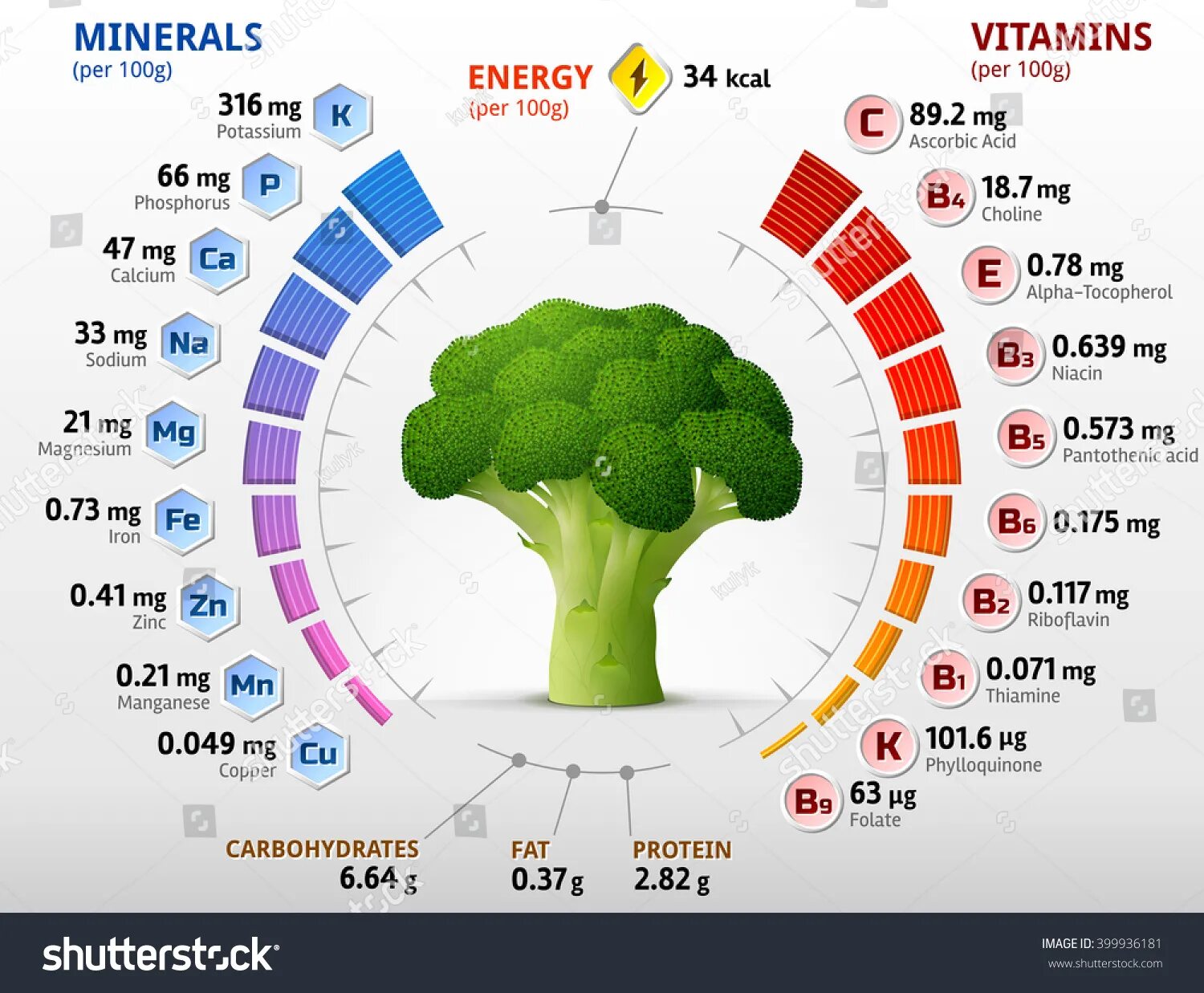 Брокколи полезные вещества. Полезные вещества в цветной капусте. Брокколи микроэлементы. Чем полезна брокколи. Брокколи минеральный состав.