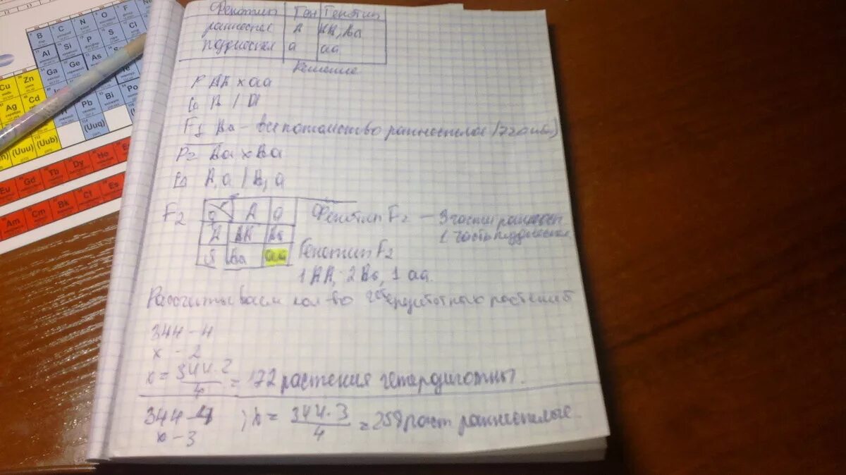 У овса ранняя спелость доминирует над позднеспелостью. При скрещивании раннеспелого сорта овса с позднеспелым получили 720. У овса раннеспелость доминирует над позднеспелостью гетерозиготное. У овса ранняя спелость.