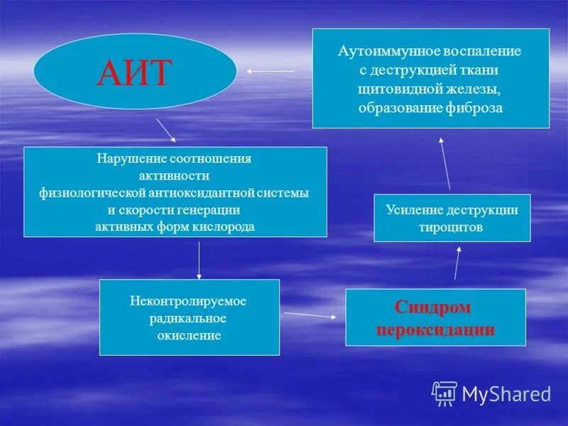 Иммунный тиреоидит. Аутоиммунный тиреоидит патогенез. Патогенез аутоиммунного тиреоидита. Аутоиммунный тиреоидит этиология.