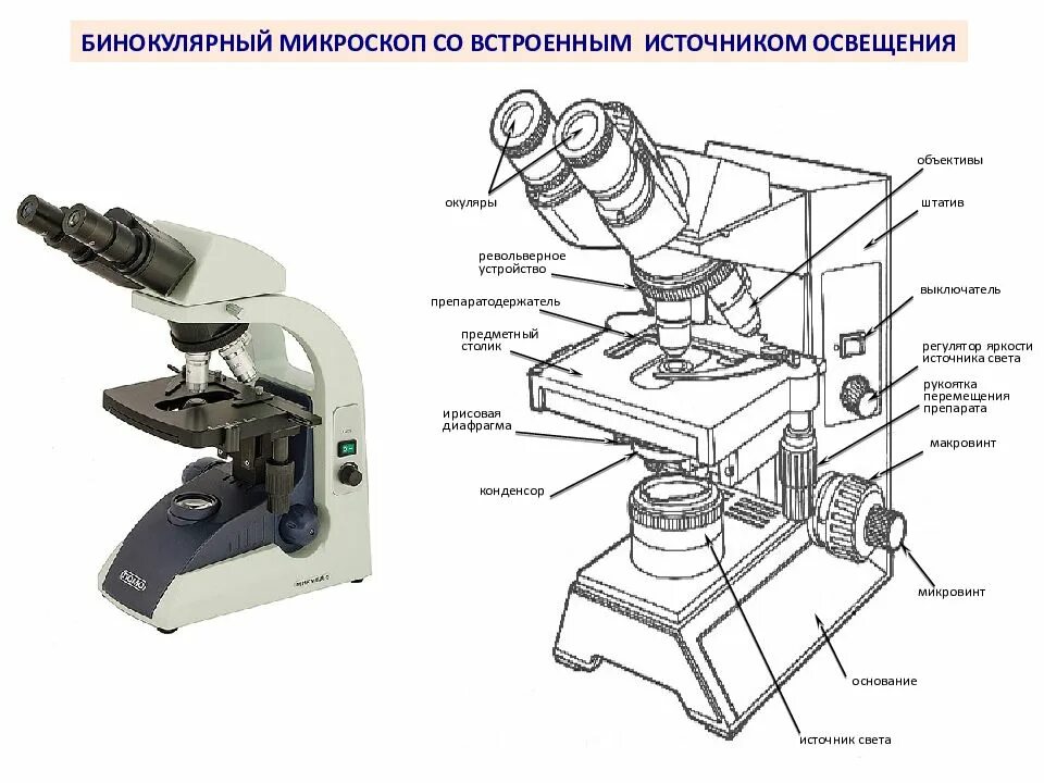 Что общего у микровинта и макровинта