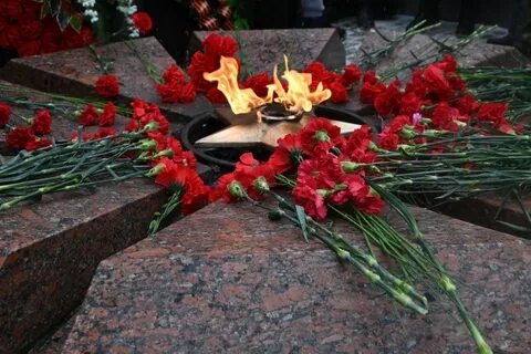 Программа празднования 80 освобождения великого новгорода