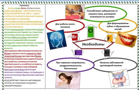 Галогены в человеке