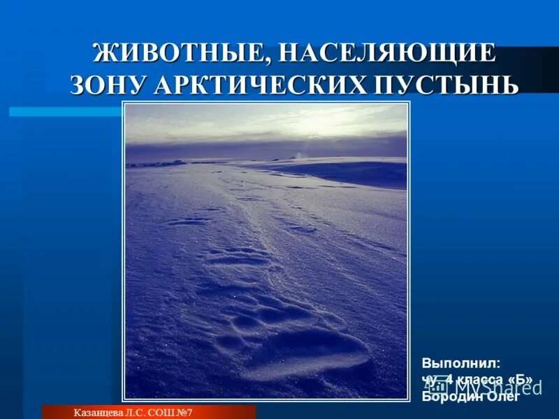 Характеристика арктической пустыни 4 класс