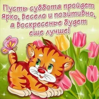 Открытки веселой субботы