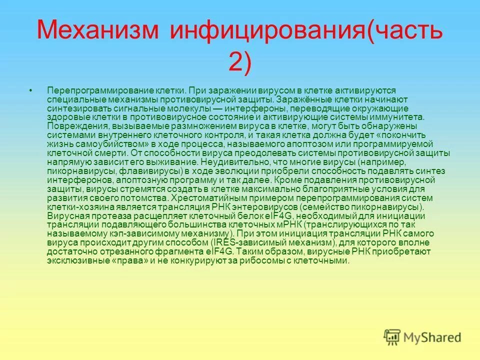 Геморрагическая сыпь заболевания. Заражение вирусом может произойти в процессе. Как происходит процесс заражения. Заражение вирусом может произойти в процессе. Процесс заражения вирусом.