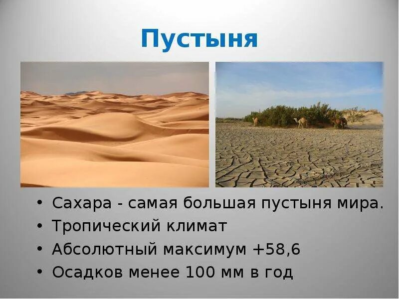 Доклад про пустыни. Сахара доклад. Природная зона пустынь африк. Характеристика пустыни сахара. Доклад о пустыне.
