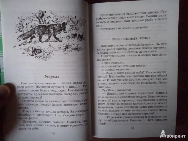 Сладков лесные тайнички читательский дневник. Рассказ лесные тайнички сладков. Книга сладкова лесные тайнички. Рассказ лесные тайнички сладков. Книга сладкова лесные тайнички.