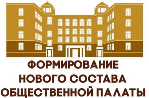 Общественная палата орган местного