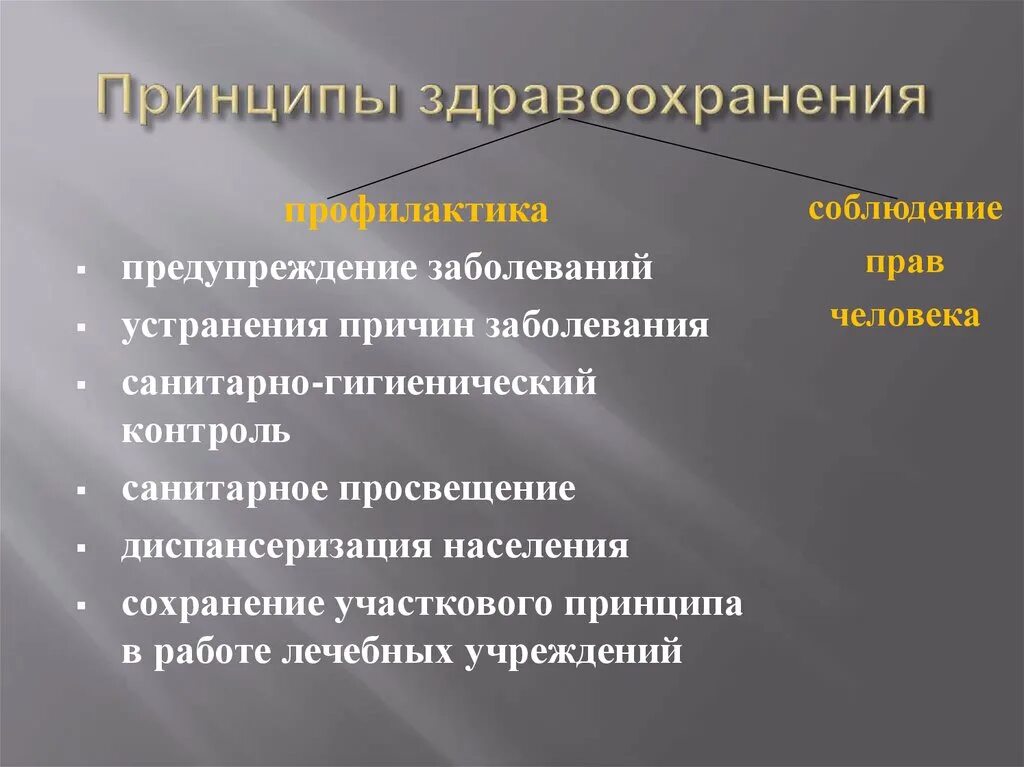 Государственная система здравоохранения в россии. Основные принципы здравоохранения. Принципы государственной системы здравоохранения. Принципы организации здравоохранения. Принципы организации здравоохранения в РФ.