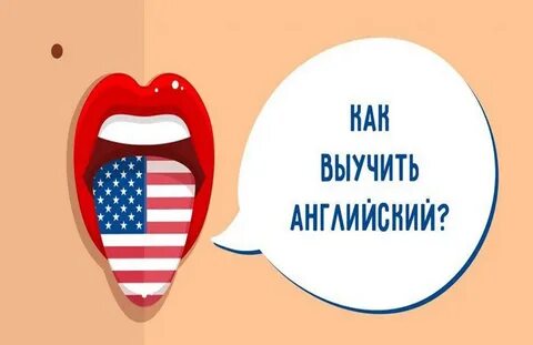 Реально ли выучить