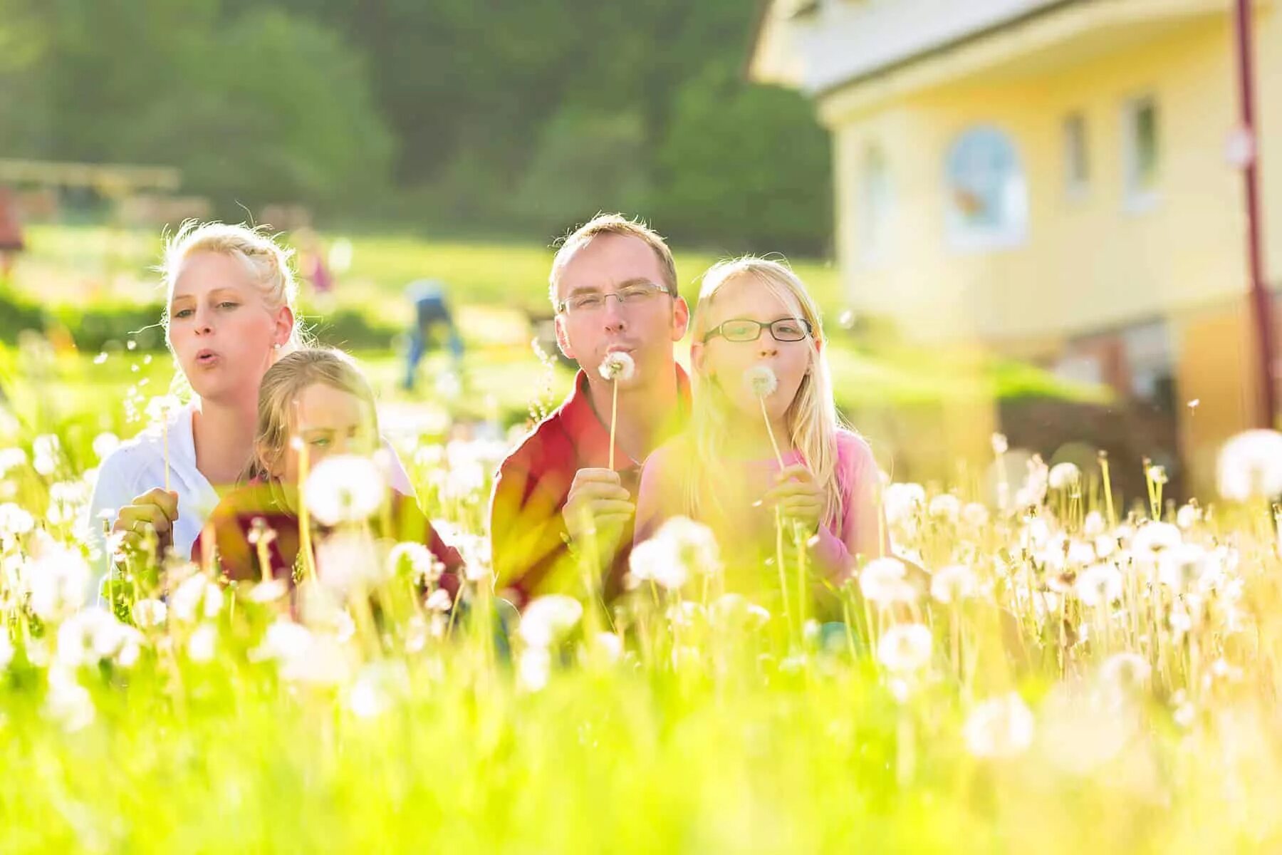 Счастливая семья в ромашках. Family meadow. Фотосессия на лугу семейная. Фотосессия в ромашковом поле семейная. Собака для семьи с детьми.
