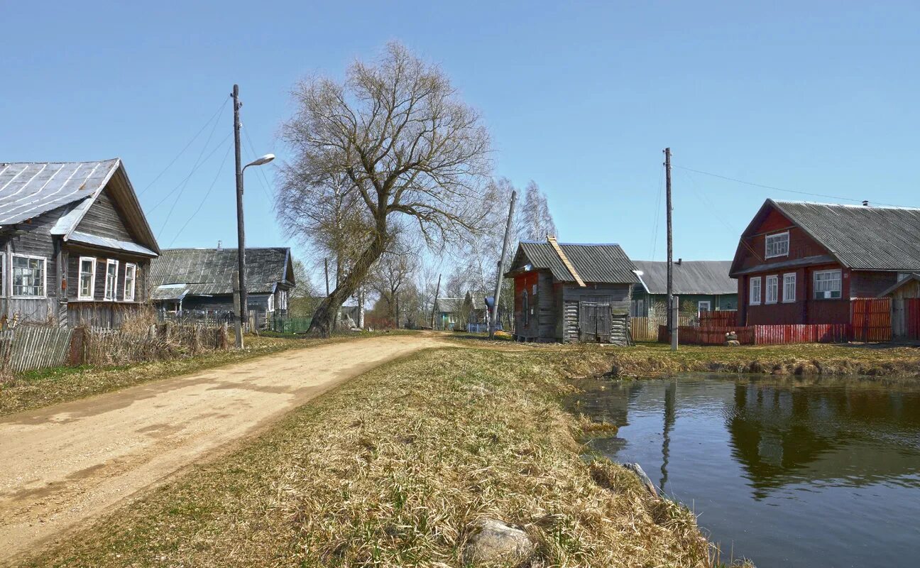 Купить в деревне твери. Деревня городок Тверская область Спировский район. Деревня Трубино Тверская область. Деревня Трубино Тверская область Лесной район. Деревня Трубино Тверская область Калининский район.