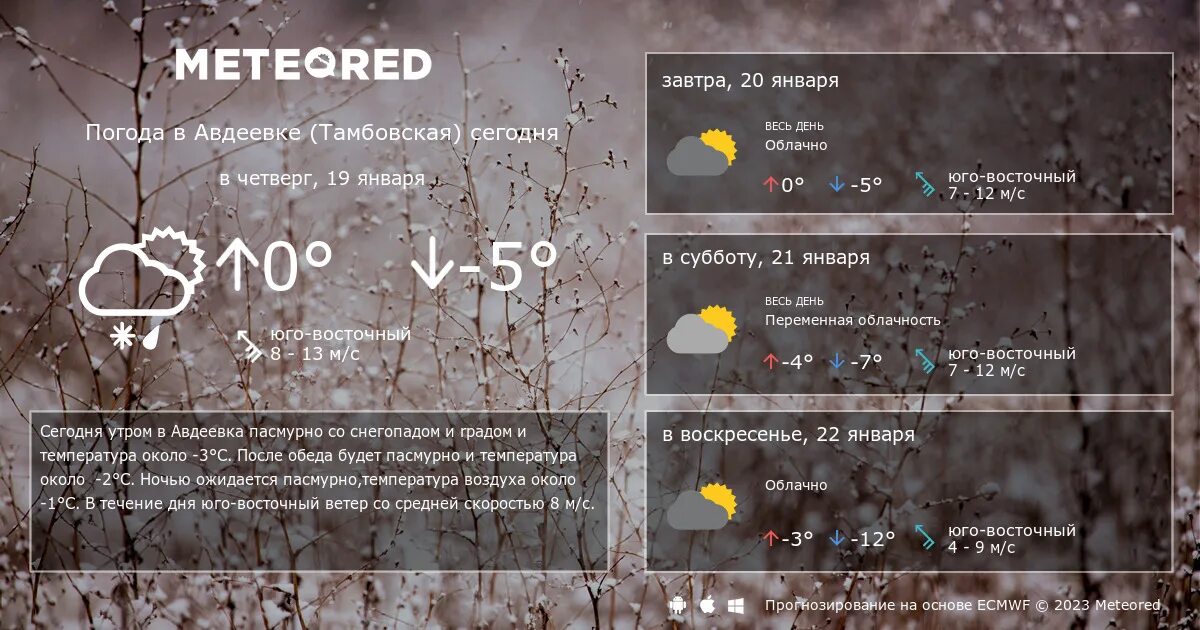 Погода в Тавде. Погода по часам в Тавде. Gjujlf d FDLLT. Погода в Тавде на 10. Погода 14 августа