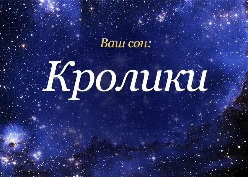 К чему снятся кролики во сне женщине. Кролик во сне к чему снится. К чему снится кролик живой. К чему снится кролики во сне для женщины маленькие.