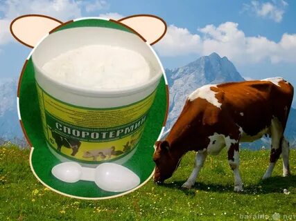 Пробиотики для телят