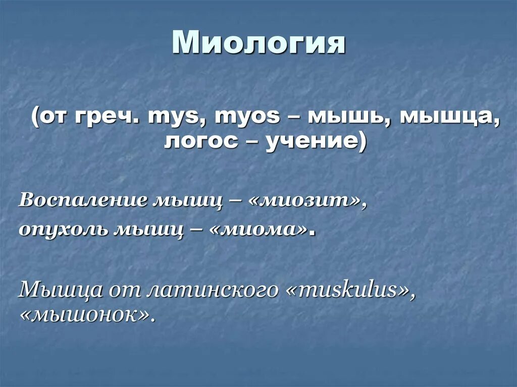 Учение о логосе принадлежит
