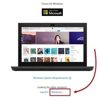 Itunes 11 windows