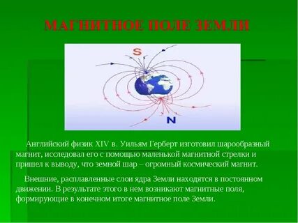 Тест по физике магнитное поле земли