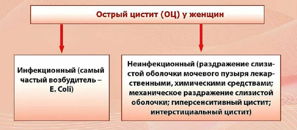 Цистит интерстициальный симптомы у женщин и лечение. Неинфекционный цистит. Инфекционный и неинфекционный цистит. Острый неинфекционный цистит. Неинфекционный цистит у женщин.