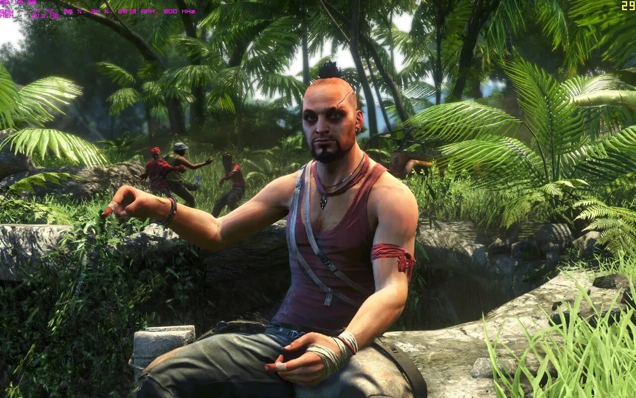 Т безумие. Ваас фар край 3. ваас монтенегро far cry 3. ваас монтенегро безумие. ваас из far cry 3.