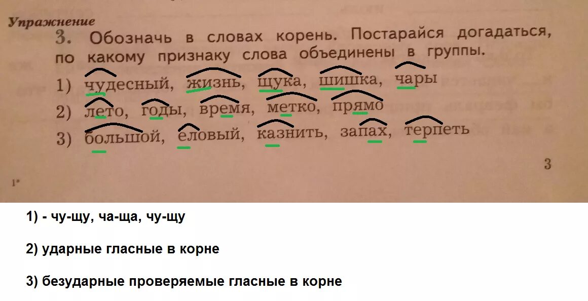 Тетради обозначить части слова. Обозначь в словах корень. Корень слова обозначение. Обозначьте корень в слове. Корень в слове жить и жизнь.