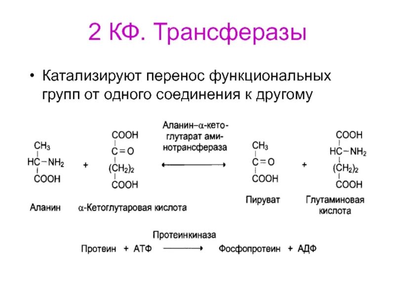 Типы реакций катализируемых ферментами. Схема реакции трансферазы. Трансферазы примеры реакций. Трансферазы Тип катализируемой реакции. Трансферазы примеры ферментов.