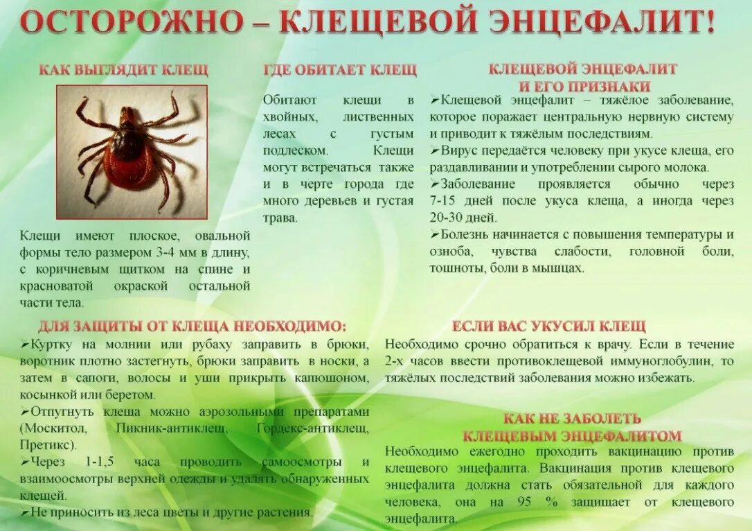 При какой температуре можно обрабатывать от клещей. Памятка про клещей роспотребнадзор. клещевой энцефалит памятка для школьников. памятка по энцефалитному клещу. профилактика клещевого энцефалита памятка вакцинация.