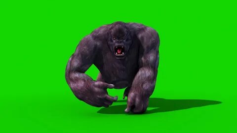 Gorilla berry blast