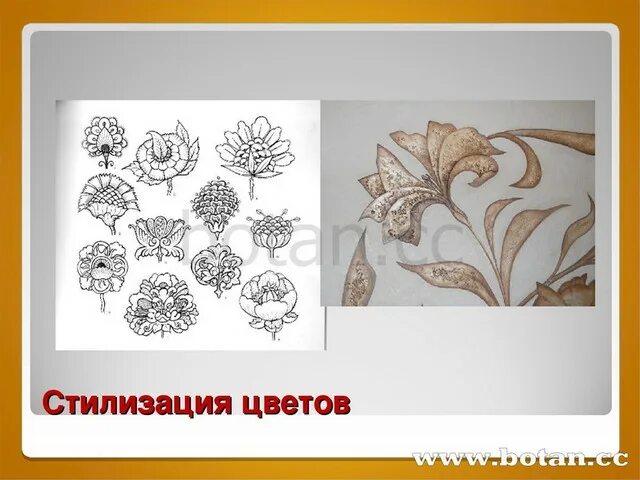 Многообразие природных форм. Многообразие природных форм. Природные формы. Стилизованные цветы. Многообразие природных форм.