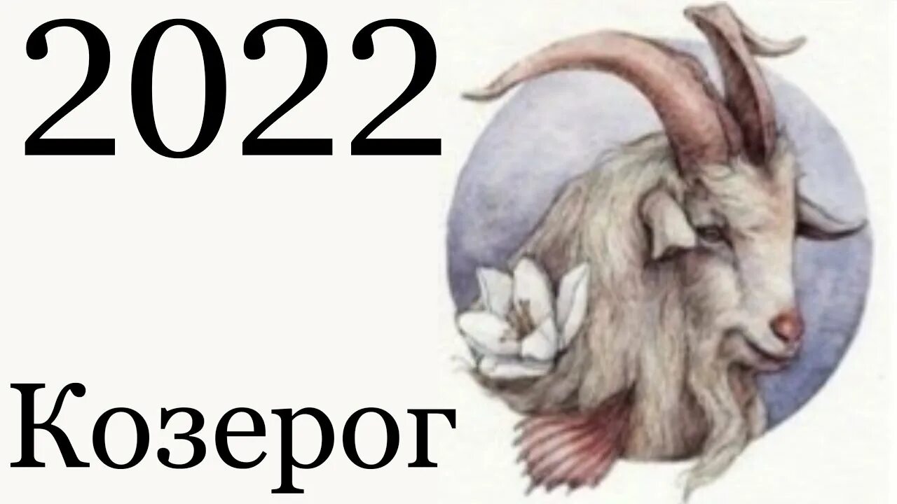 Козерог прогноз на сегодня. Козерог 2025. гороскоп на 2025 козерог. козерог. гороскоп на 2025 год. козерог коза.