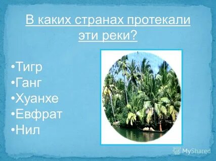 В каких странах протекают эти реки