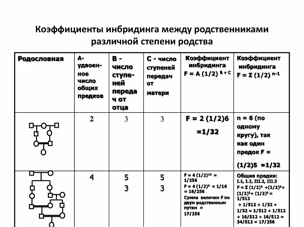 Как считать коэффициент родства. Формула определения коэффициента инбридинга. Коэффициент инбридинга формула Райта. Коэффициент инбридинга по Райту-Кисловскому.