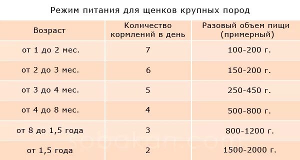 Сколько грамм кормить щенка