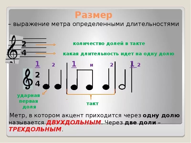 Сильные и слабые доли. Размер такта 2/4. Музыкальный размер. Такт. Тактовая черта. Такт Тактовая черта размер 2/4. Размер такта в Музыке.