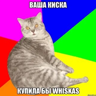 Не чеши