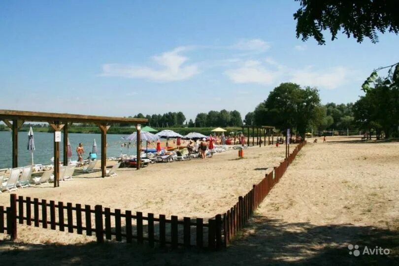 Пляж островок нижний ольшанец. Островок придорожная ул 1 село нижний ольшанец. Островок придорожная ул 1 село нижний ольшанец. Пляж островок белгород. Островок нижний ольшанец белгород.