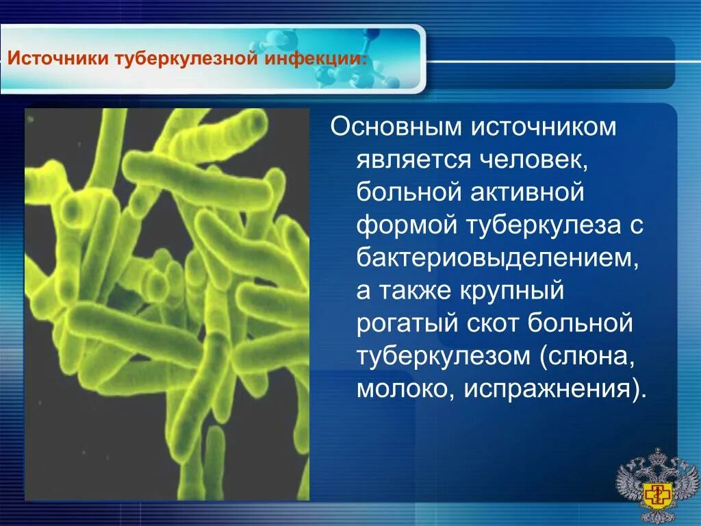 Палочка коха заболевание. Источники туберкулезной инфекции. Источниками туберкулезной инфекции являются. Туберкулез бактериальное заболевание.