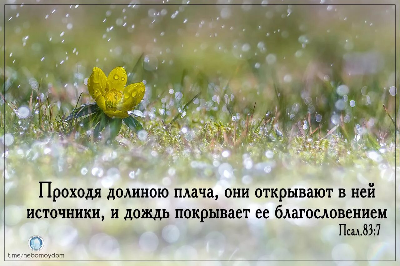 проходя долиною плача они открывают в ней источники и дождь. пройдешь долиной. пройдешь долиной. пройдешь долиной. проходя долиною плача.