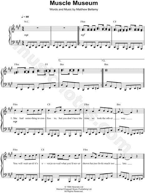 Muse muscle. Muse muscle museum. muscle museum. музей ноты.
