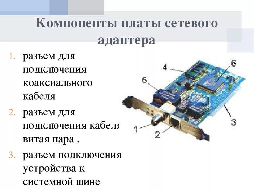 Сетевую карту сетевого кабеля. Разъем для сетевой карты на материнской плате. Разъем под сетевую карту в материнской плате. Компоненты сетевого адаптера. Сетевые адаптеры для коаксиального кабеля.