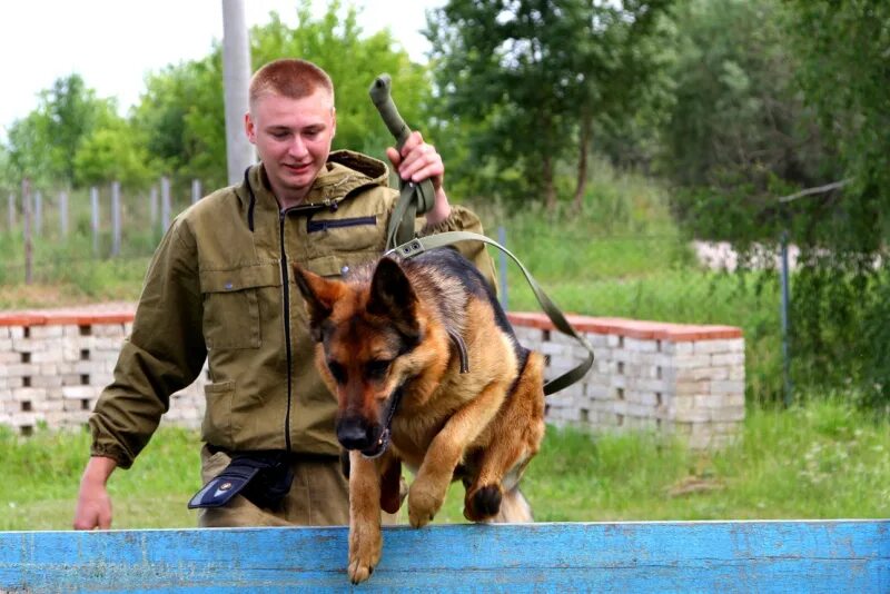 Джон Фишер кинолог.