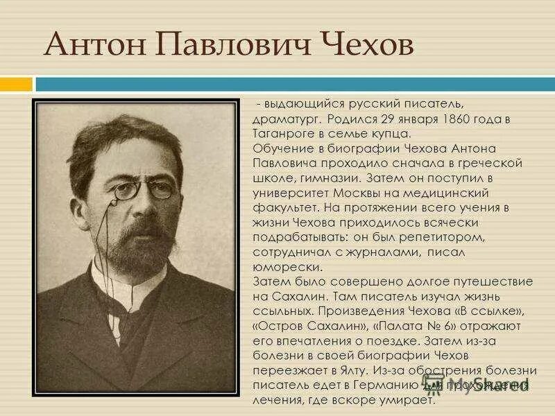 А п чехов в кратком рассказе. А П Чехов биография краткая биография. Биография Чехова.