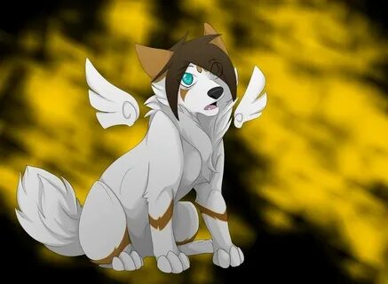 Wolf 18