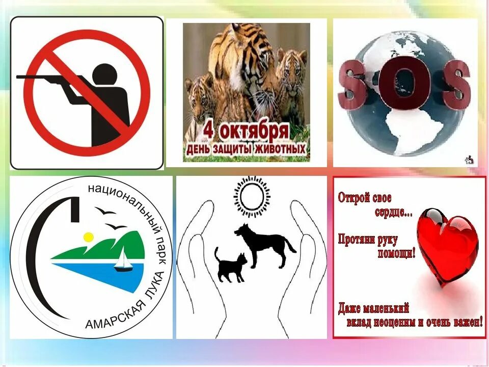Зоозащита - дискурс левый Елена Чудинова Дзен