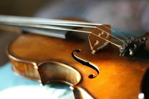 Violin скрипка