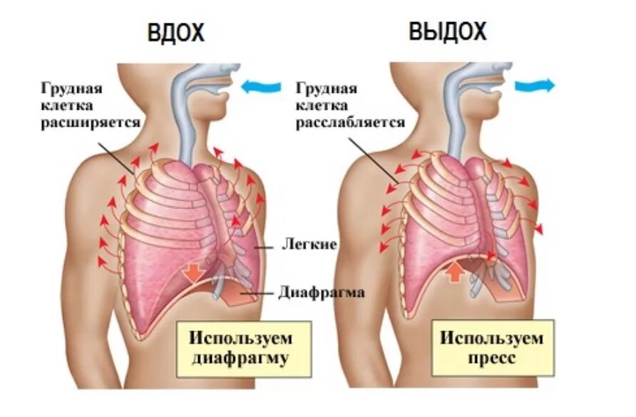 Дыхание с удлиненным выдохом